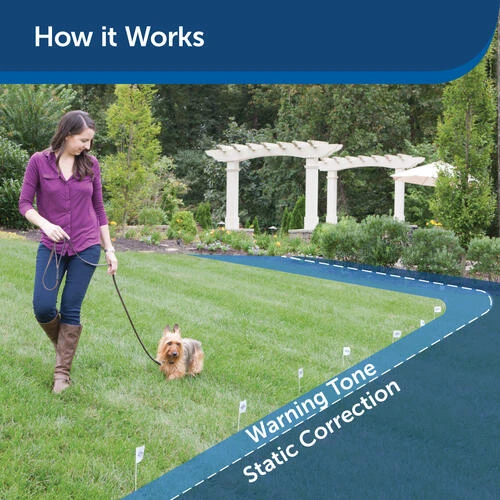 PetSafe® Stubborn Dog In-Ground Fence 5 PetSafe® Stubborn Dog In-Ground Fence - Image 3
