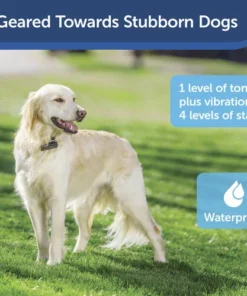 PetSafe® Stubborn Dog In-Ground Fence 15 PetSafe® Stubborn Dog In-Ground Fence -Schlage Shop PIG00 10777 PT04