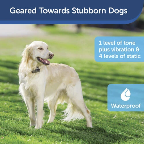 PetSafe® Stubborn Dog In-Ground Fence 7 PetSafe® Stubborn Dog In-Ground Fence - Image 5