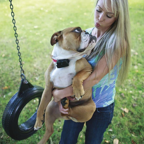 PetSafe® Stubborn Dog In-Ground Fence 4 PetSafe® Stubborn Dog In-Ground Fence - Image 2