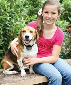 PetSafe® Rechargeable In-Ground Pet Fence Receiver W/Charger -Schlage Shop PIG00 13737In GroundFenceRechargeableReceiverCollarScene1