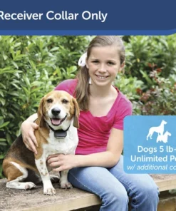 PetSafe® Rechargeable In-Ground Pet Fence Receiver W/Charger -Schlage Shop PIG00 13737 PT01