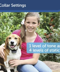 PetSafe® Rechargeable In-Ground Pet Fence -Schlage Shop PIG00 14673 PT04