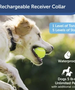 PetSafe® YardMax® Cordless In-Ground Pet Containment System -Schlage Shop PIG00 15958 PT04