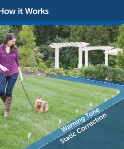 PetSafe® Elite Little Dog In-Ground Pet Fence -Schlage Shop PIG20 11041 PT02