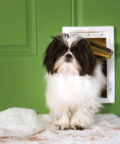 PetSafe® Small White Extreme Weather Pet Door - 5.12" X 8.75" 6 PetSafe® Small White Extreme Weather Pet Door - 5.12" X 8.75" -Schlage Shop PPA00 10984SMExtremeWeatherPetDoorScene1