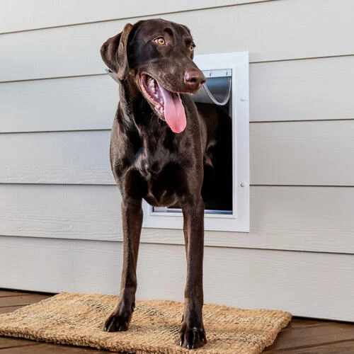 PetSafe® 10" X 15" Large Wall Entry Pet Door 3 PetSafe® 10" X 15" Large Wall Entry Pet Door