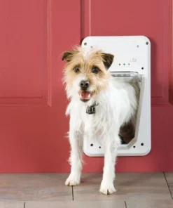 PetSafe® SmartDoor Small White Electronic Pet Door - 5.5" X 7.75" -Schlage Shop PPA11 10711SmartDoorScene1