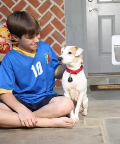 PetSafe® SmartDoor Small White Electronic Pet Door - 5.5" X 7.75" -Schlage Shop PPA11 10711SmartDoorScene2