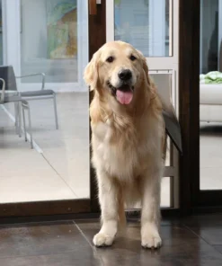 PetSafe® 76-3/4"-81" Adjustable Medium Deluxe Satin Patio Panel Pet Door 6 PetSafe® 76-3/4"-81" Adjustable Medium Deluxe Satin Patio Panel Pet Door -Schlage Shop PPA11 13134MEDDeluxeSatinPatioPanelDoorScene1