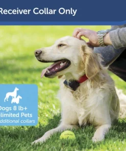 PetSafe® In-Ground Stubborn Pet Fence Receiver Dog Collar -Schlage Shop PRF 275 19 PT01