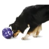 PetSafe® Busy Buddy® Kibble Nibble Dog Toy -Schlage Shop PTY00 13738 MAIN