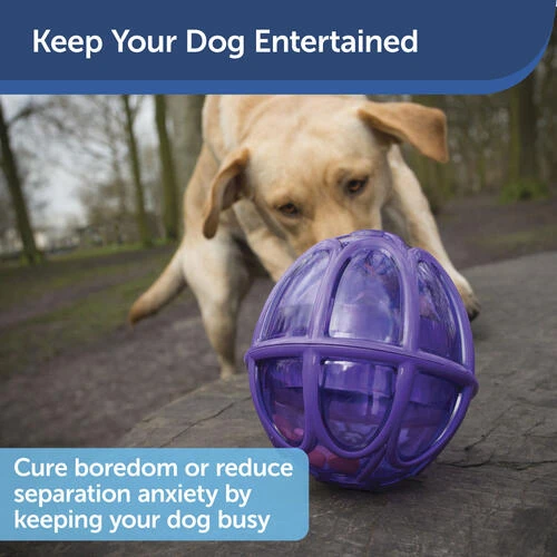 PetSafe® Busy Buddy® Kibble Nibble Dog Toy 6 PetSafe® Busy Buddy® Kibble Nibble Dog Toy - Image 4