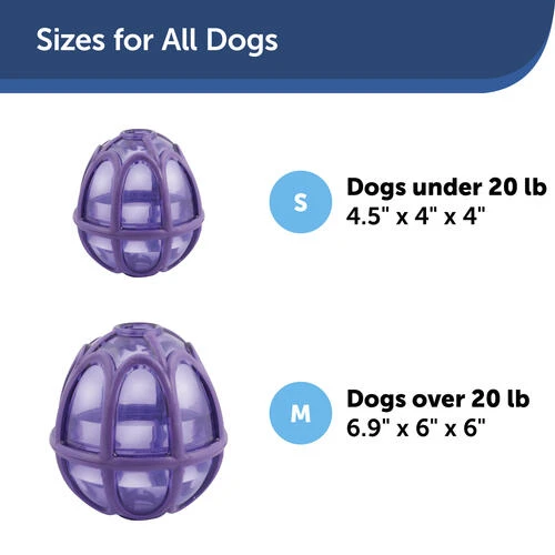 PetSafe® Busy Buddy® Kibble Nibble Dog Toy 8 PetSafe® Busy Buddy® Kibble Nibble Dog Toy - Image 6