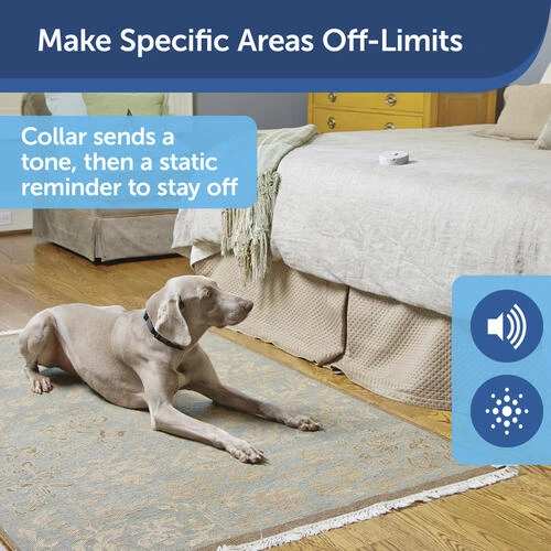 PetSafe® Pawz Away® Mini Pet Barrier 6 PetSafe® Pawz Away® Mini Pet Barrier - Image 4