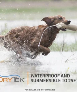 SportDOG PetSafe® Rechargeable In-Ground Pet Fence System -Schlage Shop SDF 100C PT05