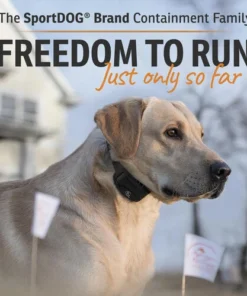 SportDOG PetSafe® Rechargeable In-Ground Pet Fence System -Schlage Shop SDF 100C PT06